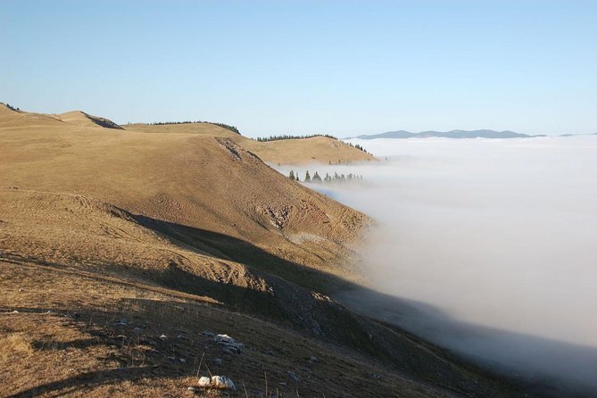 Day trip on Quad ATV - Transylvanian outdoor adventure - Starting at 8:30 a.m. in Păltiniș-Ciuc