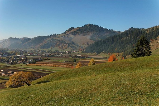 Day trip on Quad ATV - Transylvanian outdoor adventure - Is $216.13 good value?