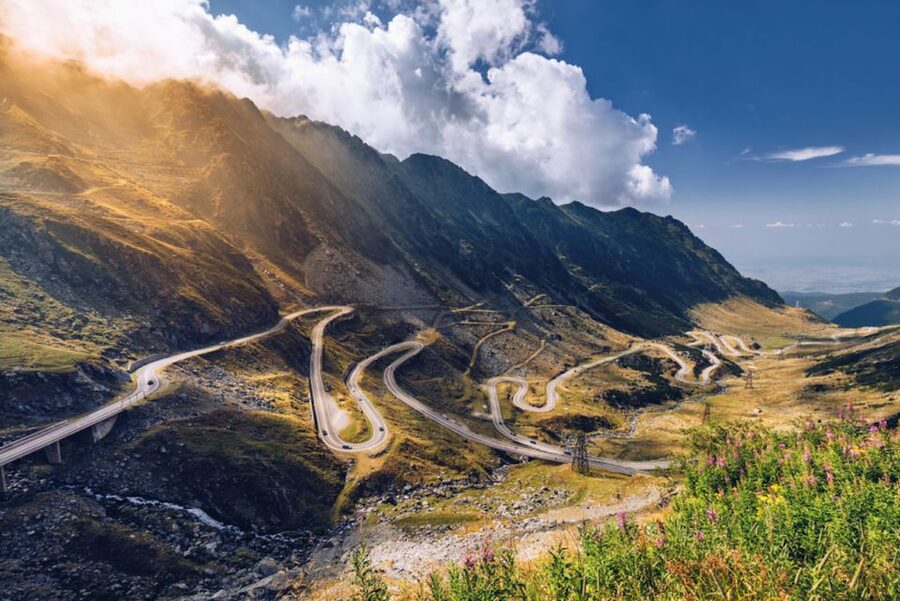 Day Trip to Transfagarasan - Brown bears and other fortunate extras