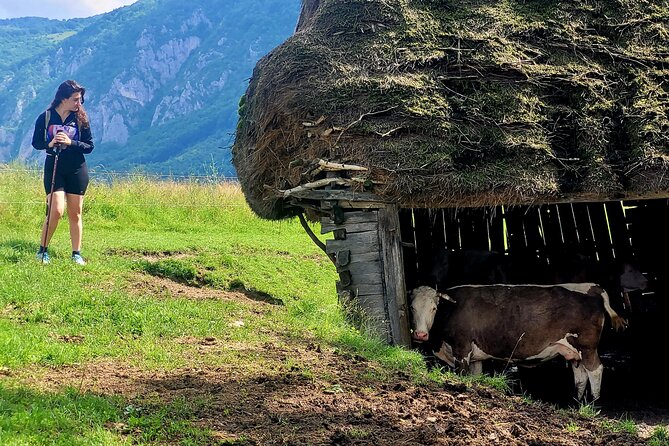 Discover Apuseni Mountains - Scarita Summit,Sipote Waterfall and Dumesti Village - Fitness, footwear, and weather