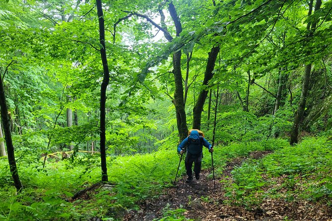 Discover Apuseni Mountains - Scarita Summit,Sipote Waterfall and Dumesti Village - Who will enjoy this Apuseni Mountains tour