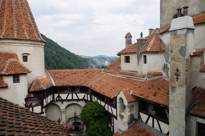Dracula and Peles Castles Premium Tour with Hotel pick-up - Why the guide can make or break the day