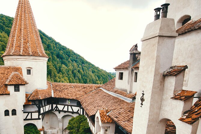 Dracula Experience In Transylvania - Why this Dracula tour is more than Bran Castle