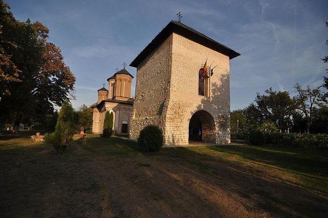 Dracula's Tomb and Mogosoaia Palace, Private Tour from Bucharest - What the $94.93 price includes in practical terms