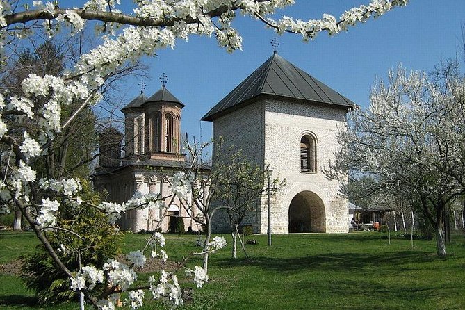 Dracula's Tomb and Mogosoaia Palace, Private Tour from Bucharest - Who will get the most from this tour
