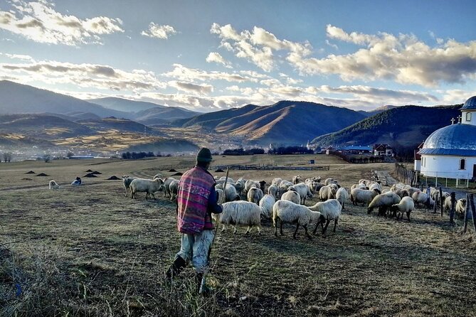 Exclusive Tour: Corvin Castle, Alba Iulia and traditional villages from Sibiu - Timing, comfort, and what to pack