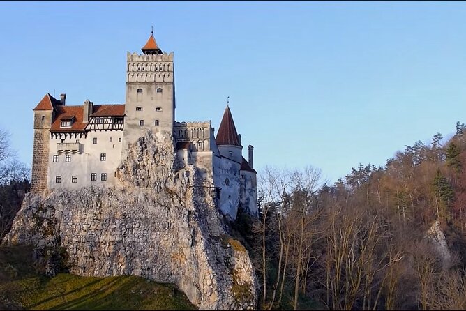 Executive Dracula Day Trip - See Bran & Peles Castle, Brasov from Bucharest - What the private vehicle changes