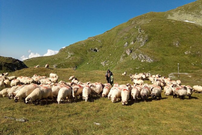 Expedition in Fagaras Mountains from Brasov (Private Tour!) - What this Fagaras expedition is really like