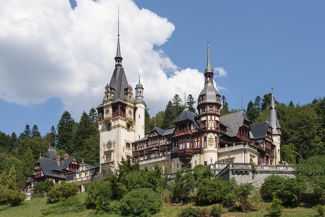 Explore Transylvania: Dracula, Peles Castle & Brasov Private Tour - Small details that make the day easier