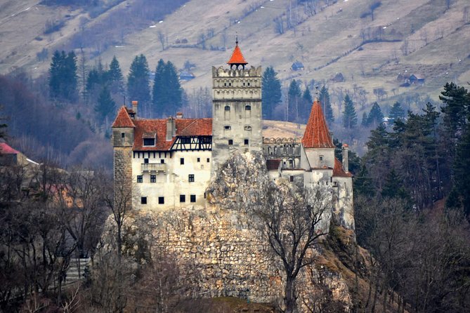 Explore Transylvania: Dracula, Peles Castle & Brasov Private Tour - Bran Castle: the Dracula connection, with limits