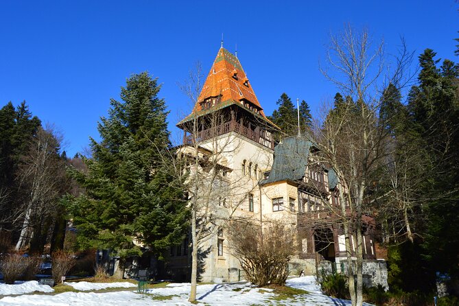 Fairytale Castles of Romania Tour - What the private vehicle changes