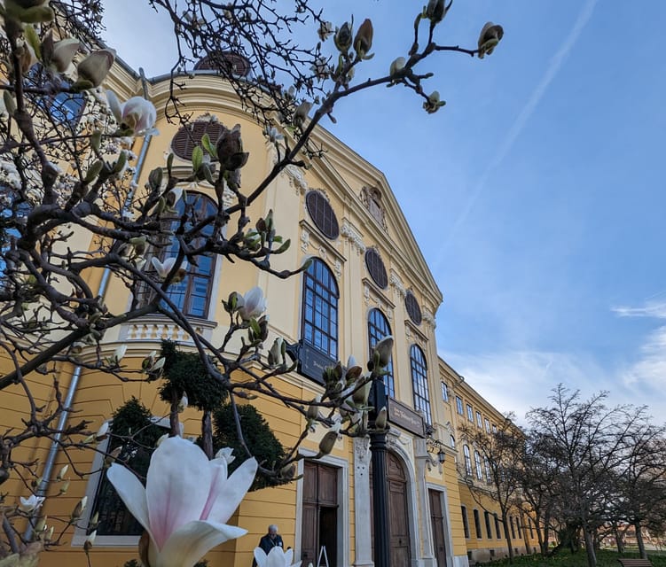 Food, Wine And Sightseeing Tour in Oradea, Romania - Key points at a glance