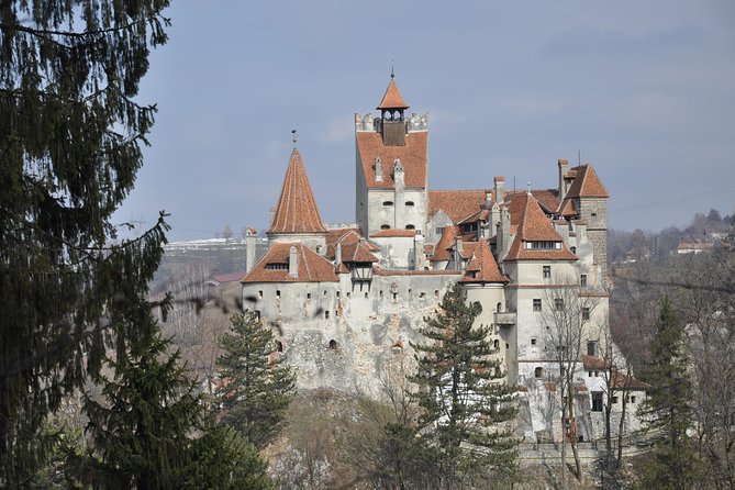 From Brasov: Discover Bran Castle and Râșnov Fortress - Entering Bran Castle, Transylvania’s Dracula postcard