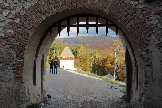 From Brasov: Discover Bran Castle and Râșnov Fortress - Should you book the Bran and Râșnov trip?