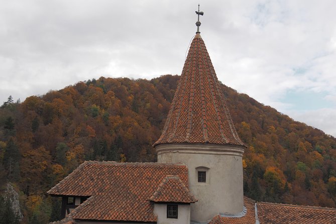 From Brasov: Discover Bran Castle and Râșnov Fortress - Râșnov Fortress and the view from the hill