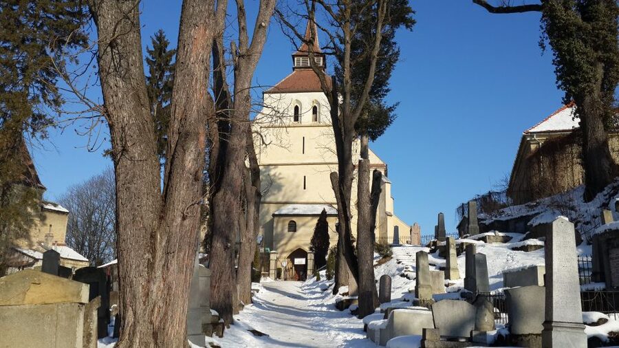 From Brasov: Guided Sighisoara and Sibiu Private Day Trip - A private format with a long road day