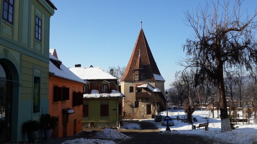 From Brasov: Guided Sighisoara and Sibiu Private Day Trip - Who will enjoy this day most?