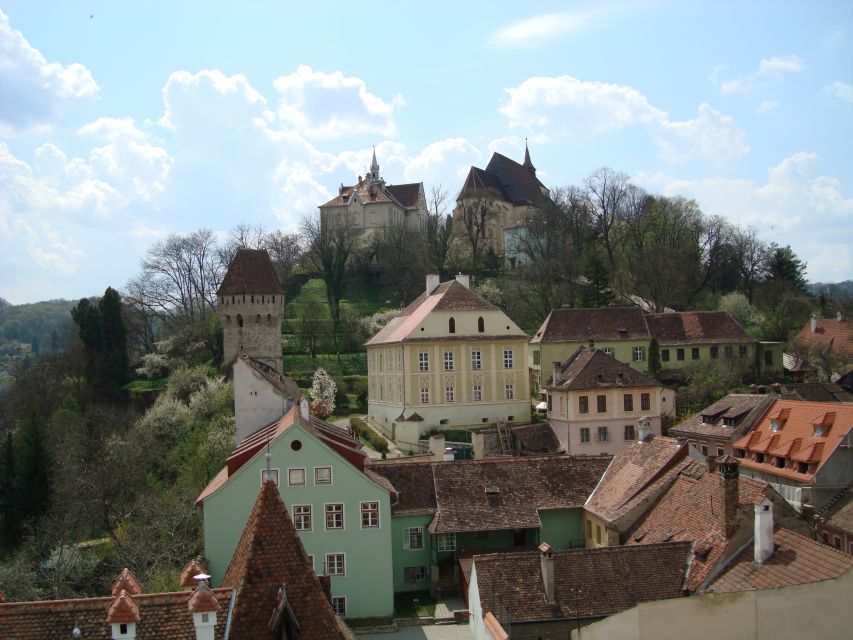 From Brasov: Guided Sighisoara and Sibiu Private Day Trip - Should you book this Sighișoara and Sibiu tour?