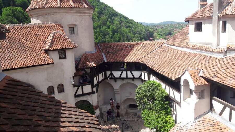 From Brasov: Peles Castle, Bran Castle & Cantacuzino Castle - Key points to know before you book