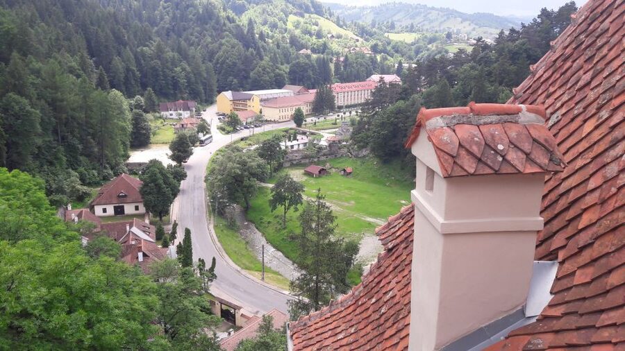 From Brasov: Peles Castle, Bran Castle & Cantacuzino Castle - Who should book this castle tour?