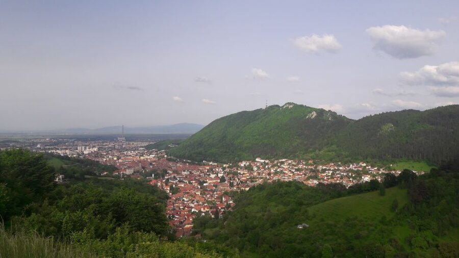 From Brasov: Peles Castle, Bran Castle & Cantacuzino Castle - Practical advice for a smoother day