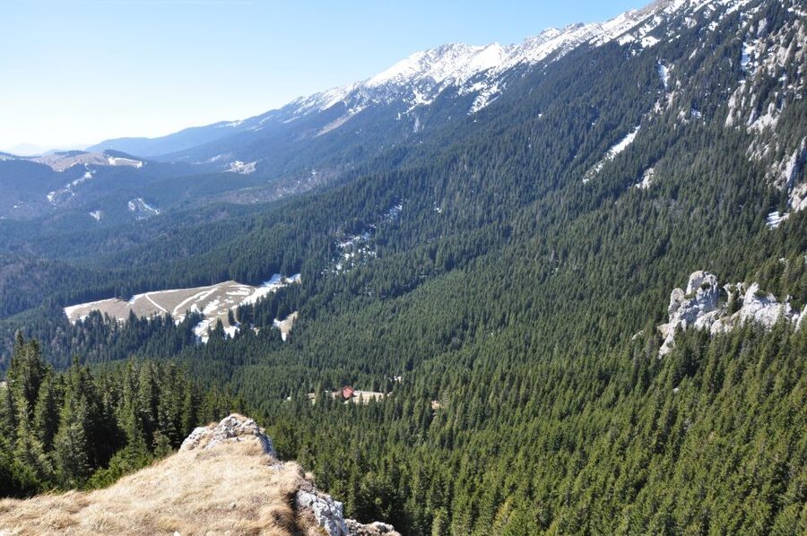 From Brasov: Piatra Craiului National Park Private Day Tour - What the rural stops add to the day