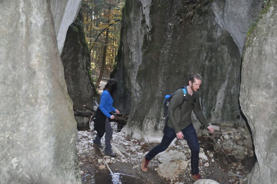 From Brasov: Piatra Craiului National Park Private Day Tour - How hard is the six-hour hike?