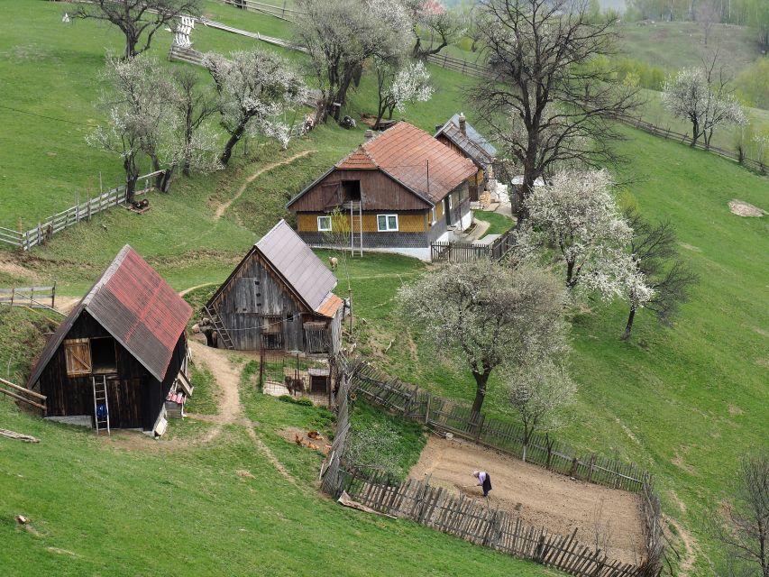 From Brasov: Romanian Mountain Villages Day Tour - Why this day gets beyond the usual Transylvania circuit