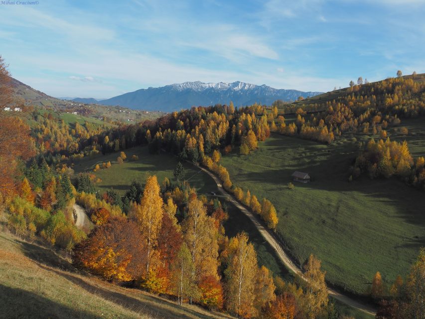 From Brasov: Romanian Mountain Villages Day Tour - Walking through Magura and Pestera