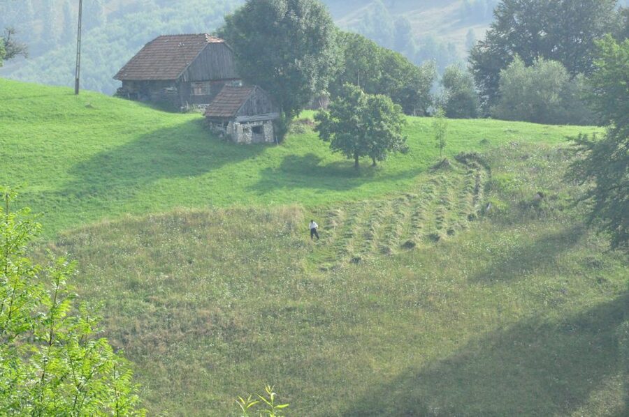From Brasov: Romanian Mountain Villages Day Tour - Is $116 a fair price?