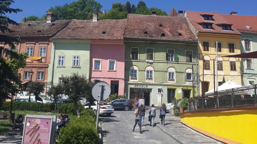 From Brasov: Sighisoara and Viscri UNESCO Day Tour - Sighișoara’s citadel, towers, and Dracula connection