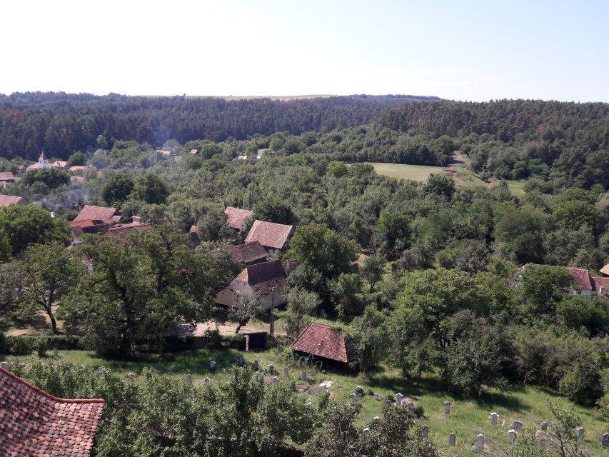 From Brasov: Sighisoara, Viscri, and Rupea Unesco Day Trip - Key points to know before booking