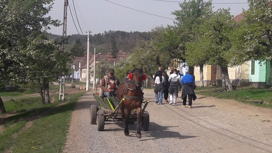 From Brasov: Sighisoara, Viscri, and Rupea Unesco Day Trip - Should you book it?