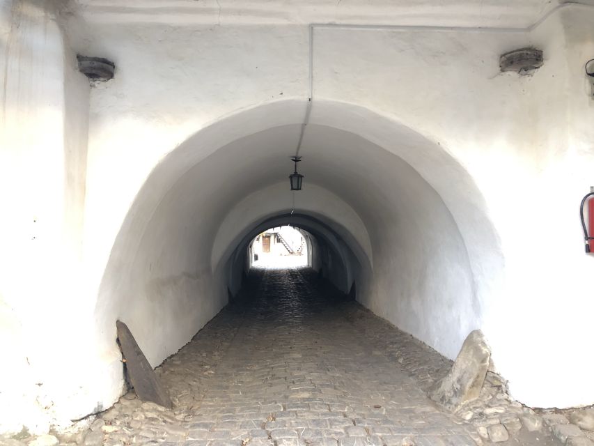 From Brasov: Small-Group Half-Day Fortified Churches Tour - Hărman’s Roman basilica, chapel, and moat