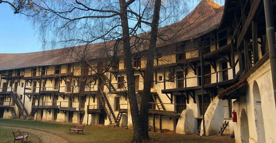 From Brasov: Small-Group Half-Day Fortified Churches Tour - Who will get the most from this half-day trip?