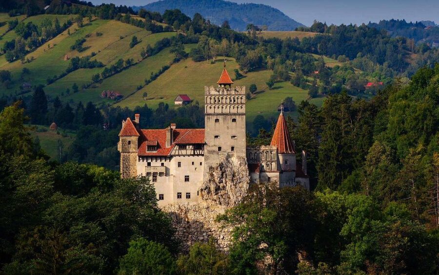 From Brasov: Tour of Castles and Surrounding Area - Who should book this day trip