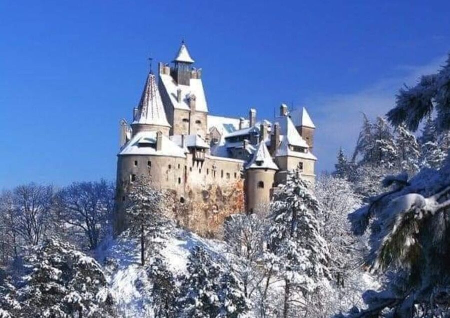 From Bucharest: 2-Day Tour to Brasov and Sighisoara - Day two: Sighisoara to Viscri and Bucharest