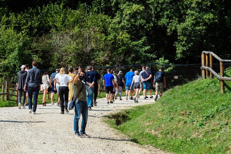 From Bucharest: Bear Sanctuary and Dracula Castle Day Tour - Bran Castle and the Dracula connection