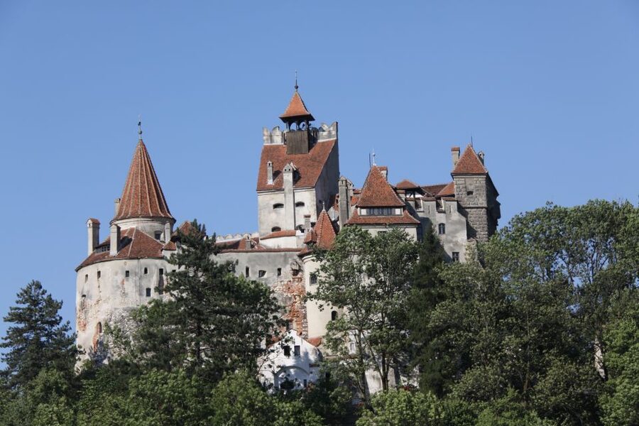From Bucharest: Bear Sanctuary and Dracula Castle Day Tour - The small-group advantage