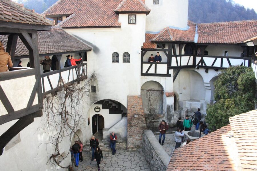 From Bucharest: Bear Sanctuary and Dracula Castle Day Tour - What to pack and how to prepare