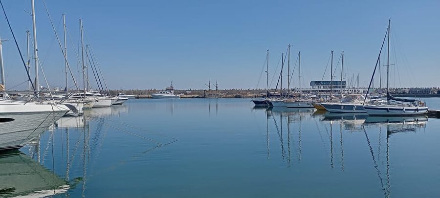 From Bucharest: Black Sea Constanța Day Tour - Who will get the most from this 10-hour outing