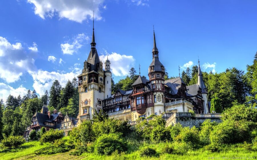 From Bucharest: Day Trip to Dracula and Peles Castle - Who should book this experience?