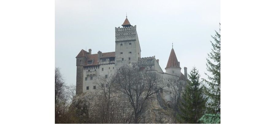 From Bucharest: Dracula Castle Day Trip - A private van changes how the day feels