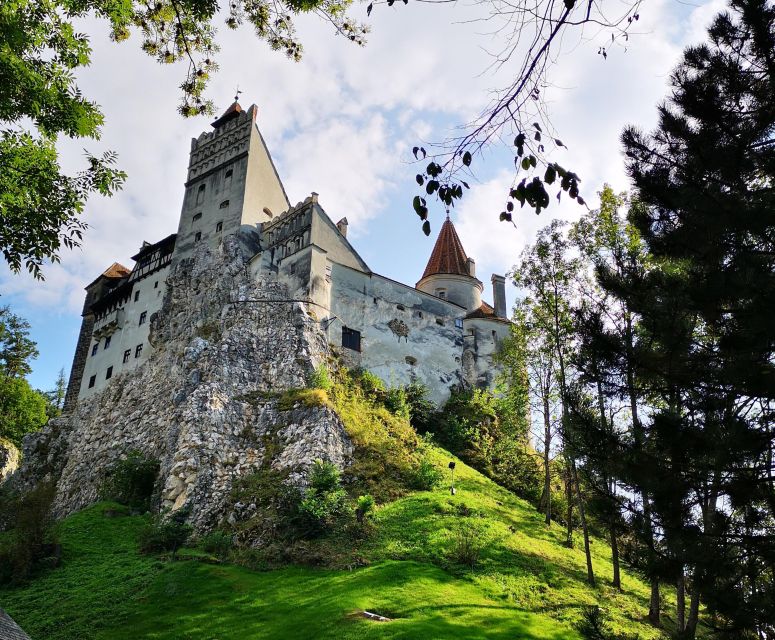 From Bucharest: Dracula Castle Day Trip - Who will enjoy this Bucharest day trip most