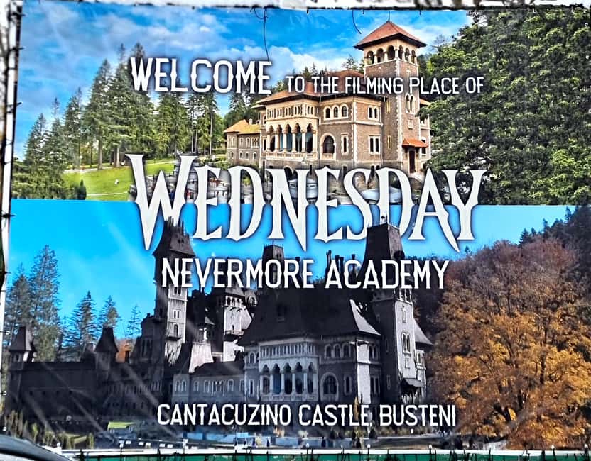 From Bucharest: Dracula, Wednesday, and Peles Castles Tour - Who should book this castle tour?