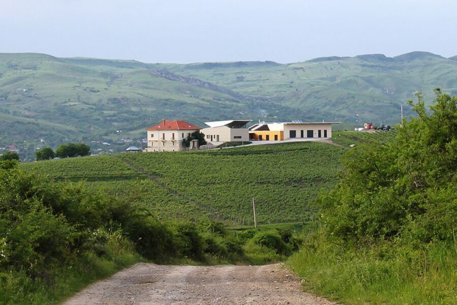 From Bucharest: Exclusive Dealu Mare Wine Tasting Tour - Lacerta Winery: modern methods with traditional aims