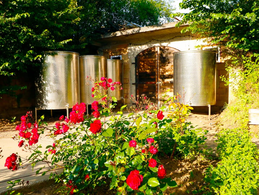 From Bucharest: Exclusive Dealu Mare Wine Tasting Tour - 1000 Chipuri: a closer look at family winemaking