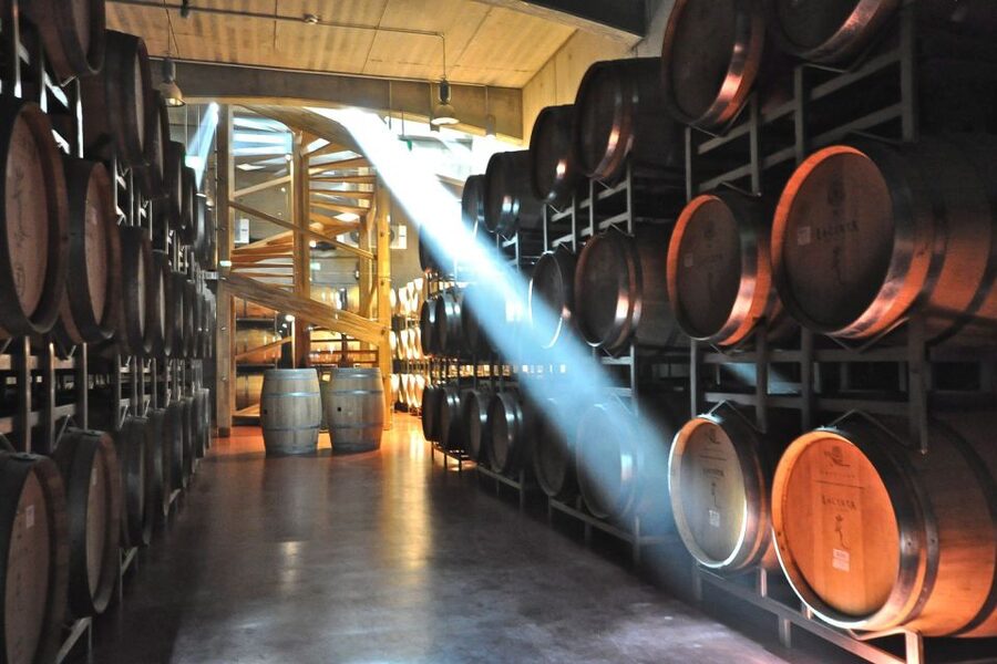 From Bucharest: Exclusive Dealu Mare Wine Tasting Tour - Twelve wines, but pacing matters