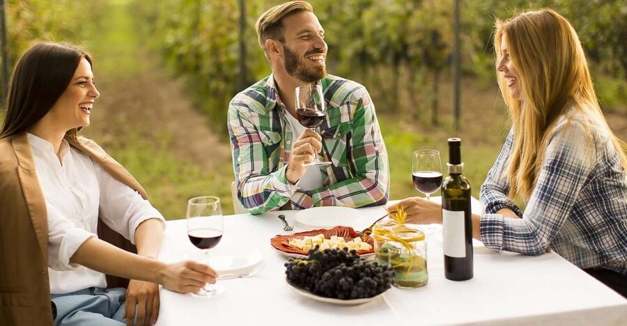 From Bucharest: Exclusive Dealu Mare Wine Tasting Tour - Who should book this Dealu Mare day trip?