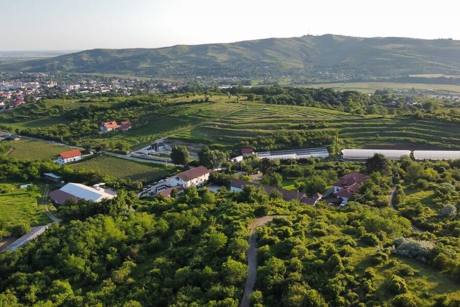 From Bucharest: Exclusive Dealu Mare Wine Tasting Tour - Leaving Bucharest in a private vehicle